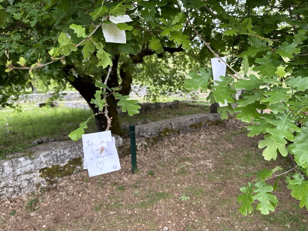 Briefjes aan takken van eikenboom in Dodoni, Centraal Griekenland