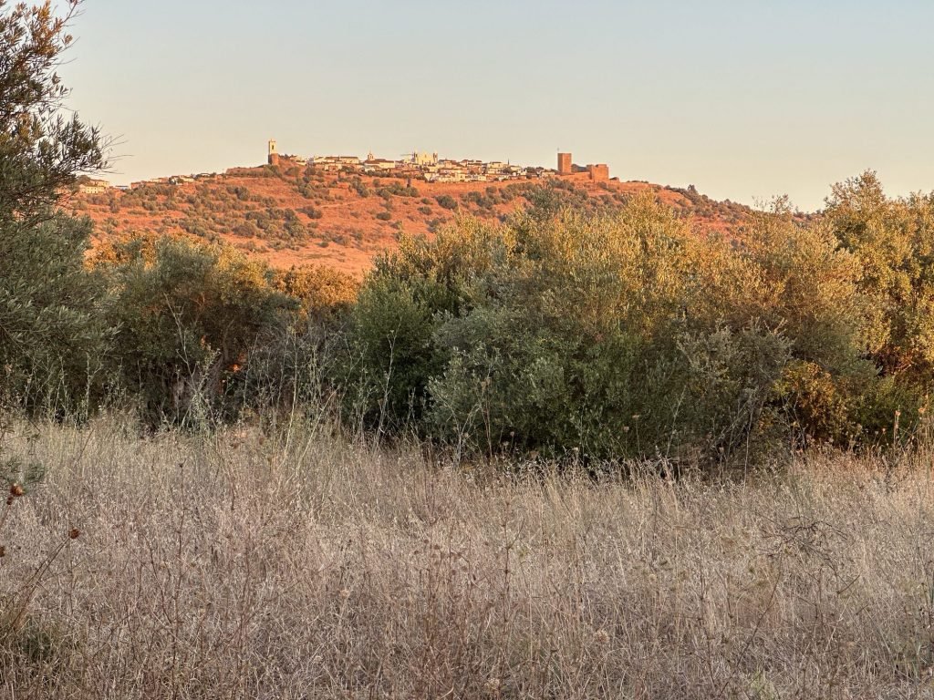 De heuvel van Monsaraz, Alentejo bij zonsondergang in gouden licht