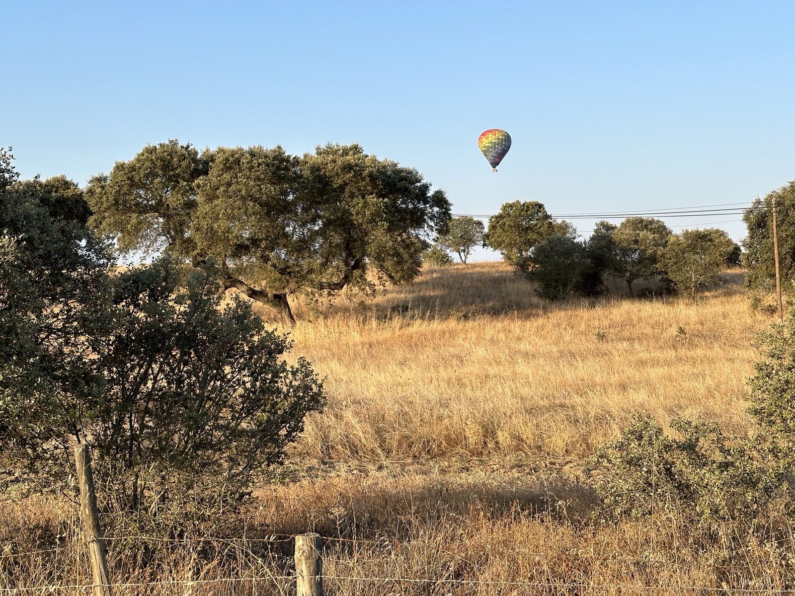 Geel grasveld met bomen en luchtballon in 
Monsaraz, Alentejo