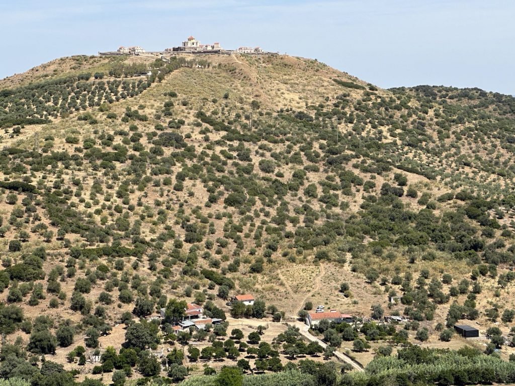 Heuvels rondElvas, Alentejo: tientallen verspreide bomen op bergflank