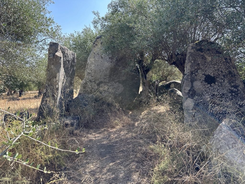 Antas do Oliva da Pega: resten van dolmen; stenen zonder dak er op