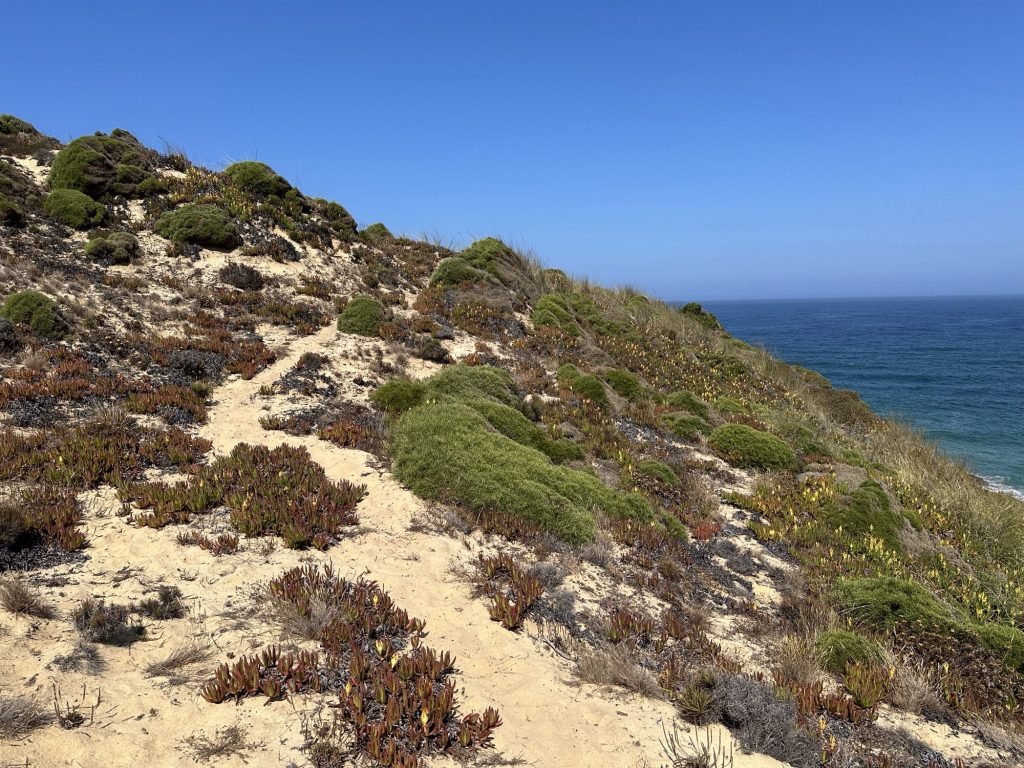 Rots, duinen en begroeiing op de Rota Vicentina, Zambujeira.