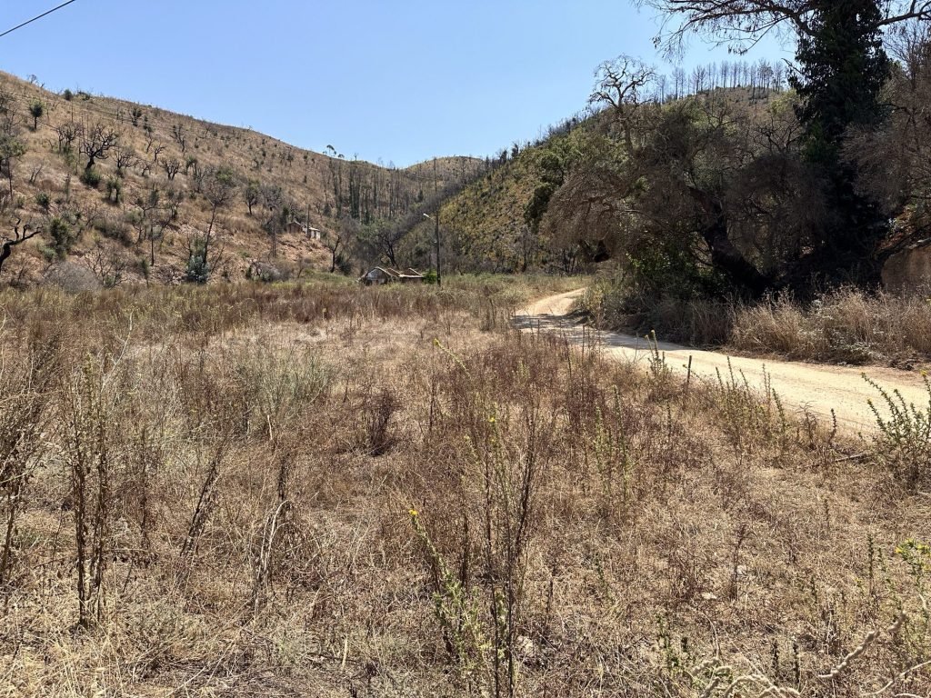 Afgebrande heuvels in Zambujeira de Baixo