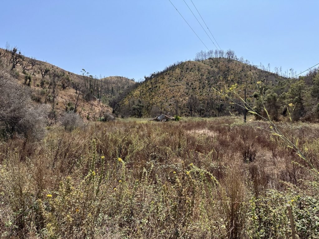 Mediterrane begroeiing op heuvels in Zambujeira de Baixo