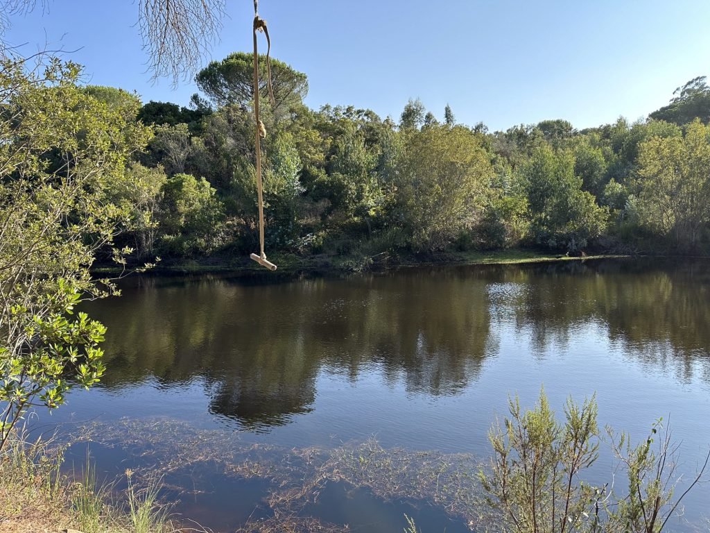 Vijvertje in bossen van São Teotónio