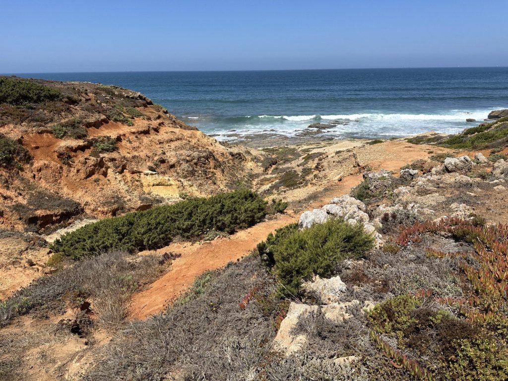 Oranje rotsen, duin, mediterrane begroeiing in Porto Covo