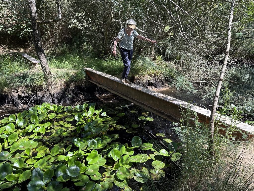 Stalen balk over riviertje in bos in Santa Clara. Velha met toeriste die over balk balanceert