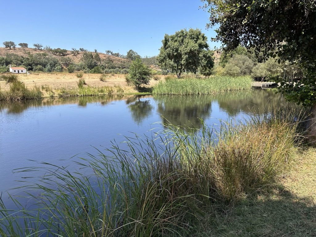 Diepblauw meertje met rietkragen in Santa Clara e Velha