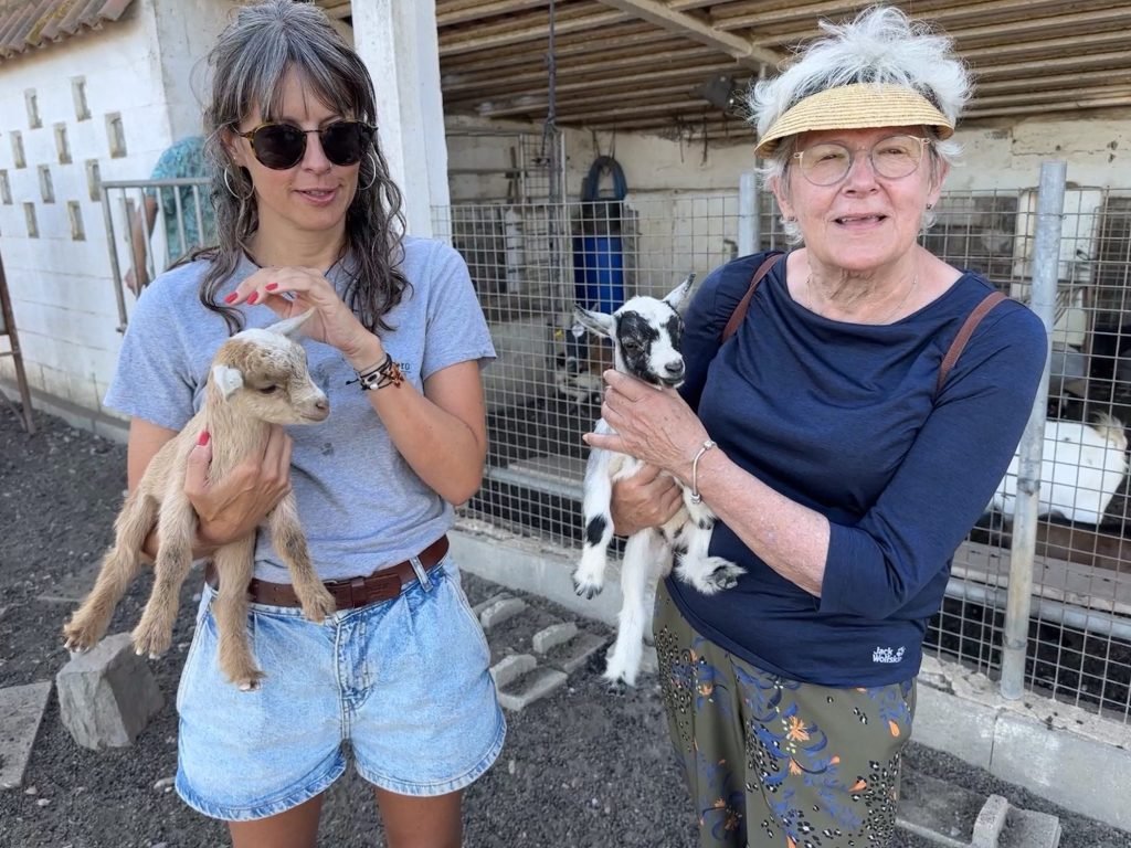 Toeristes met jonge geitjes in Castelo do Burro
