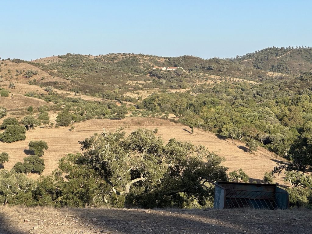 Zonovergoten begroeide heuvels in Alentejo, Portugal