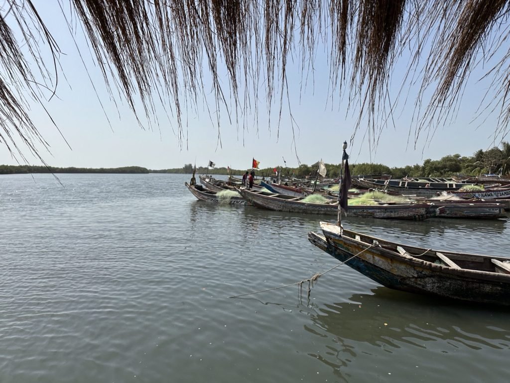 Voorsteven van oude pirogues in rivier
