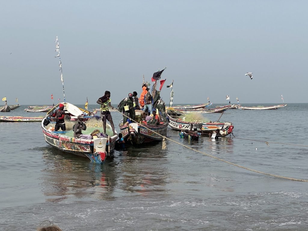 Veelkleurige pirogues op zee voor het strand van Tanji