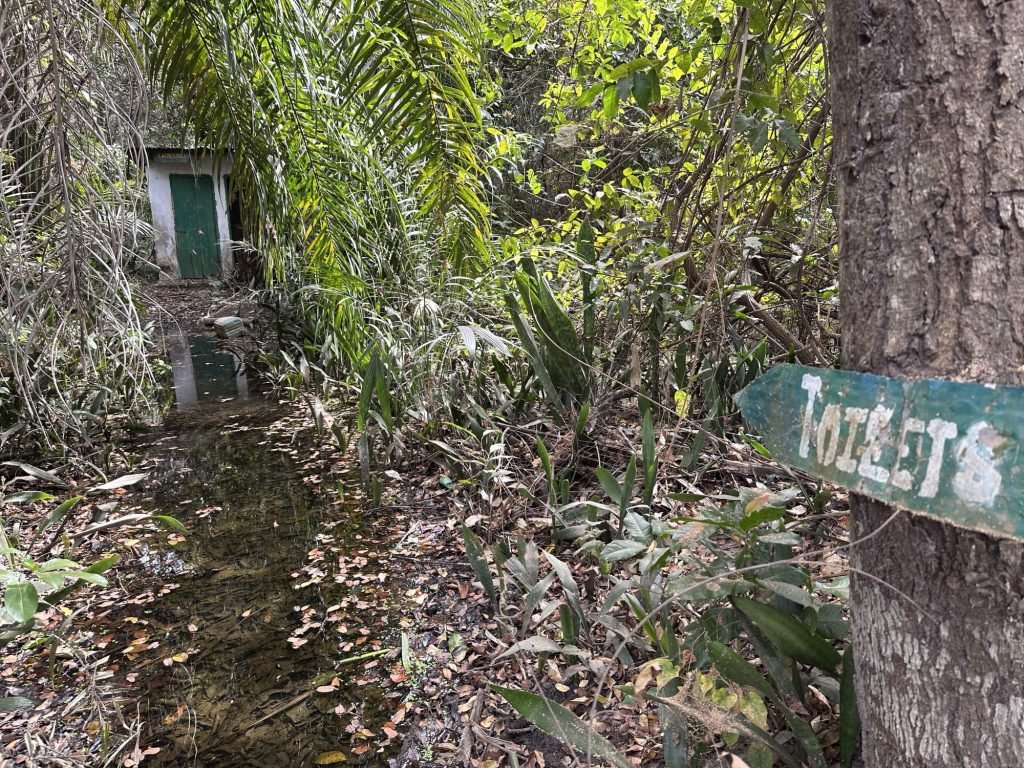 Toilet in jungle met grote waterplas er voor