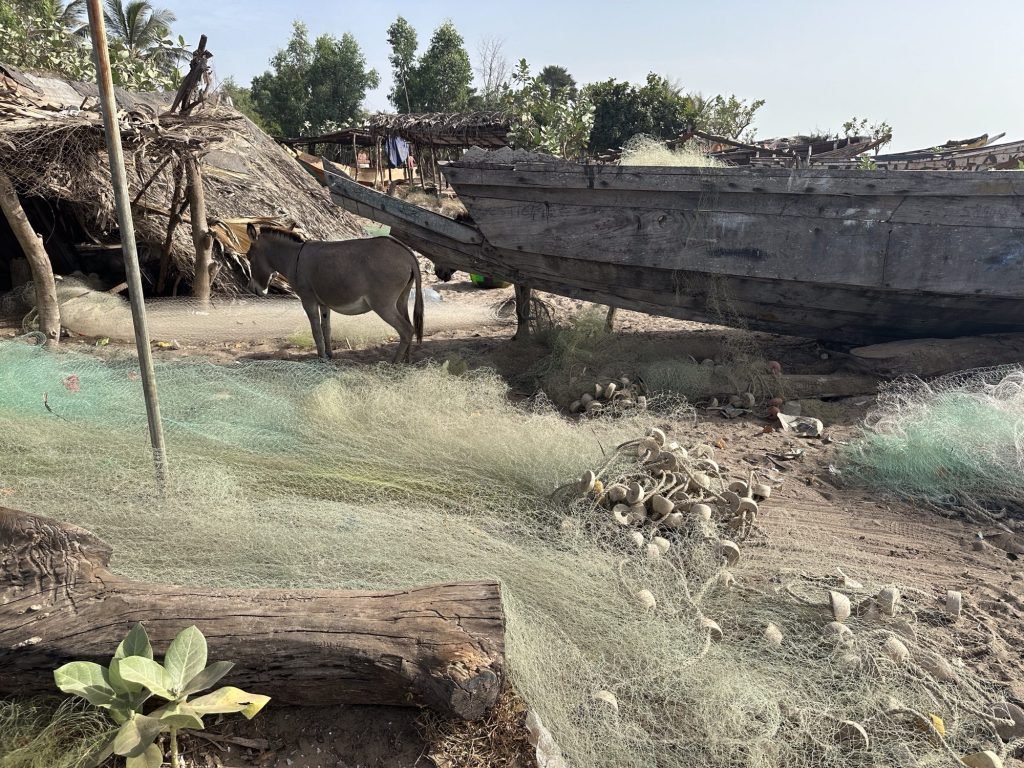 Vissersnetten liggen op de grond met ezel er achter