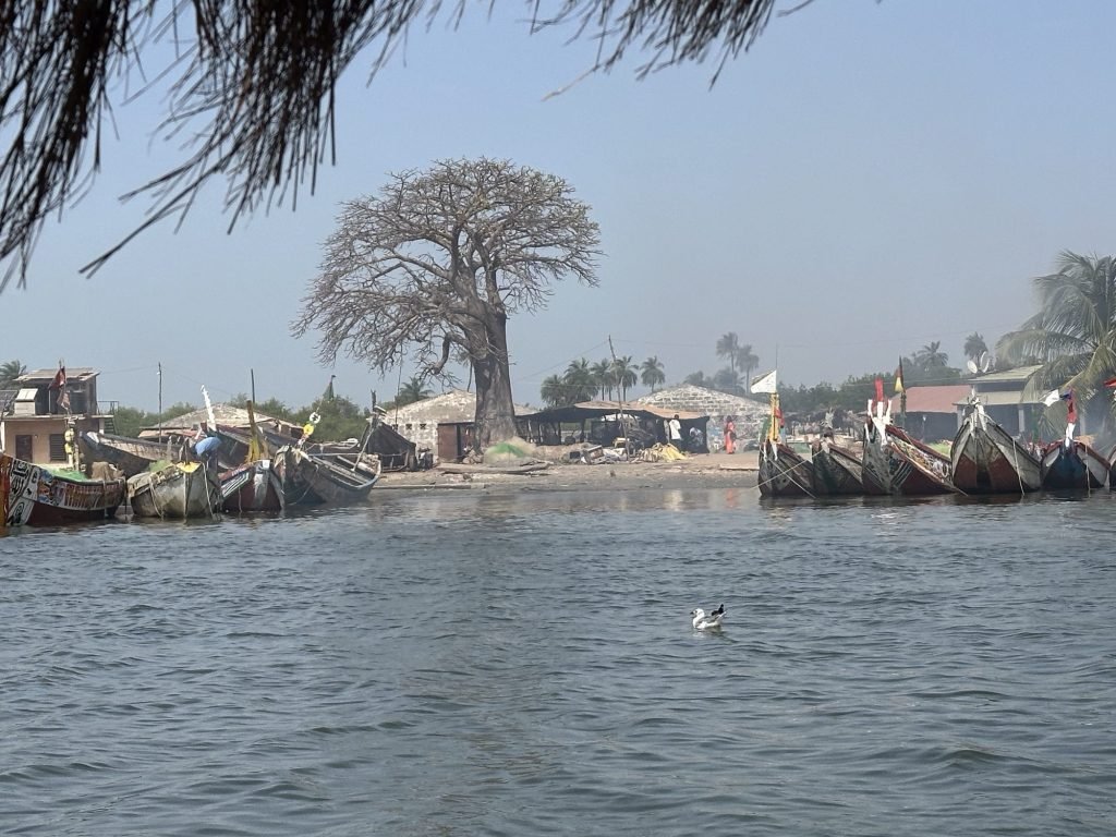Dodou’s restaurant met grote boom en bootjes vanaf de rivier
