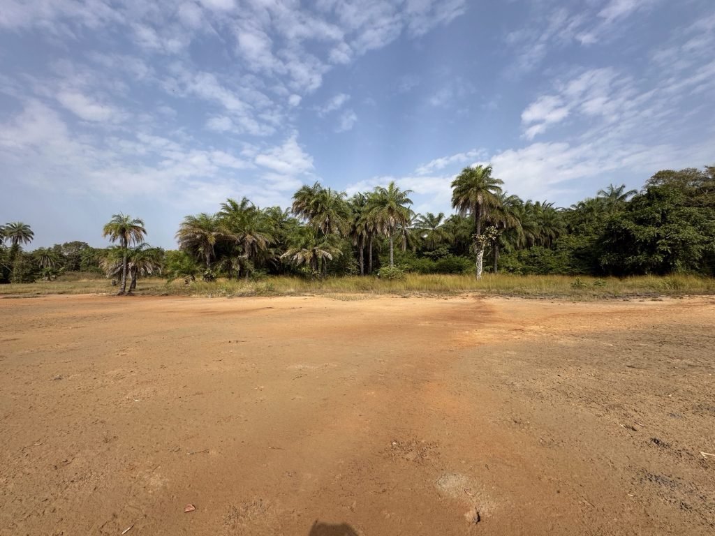 Zanderige bruin-rood rivierstrand met palmbomen