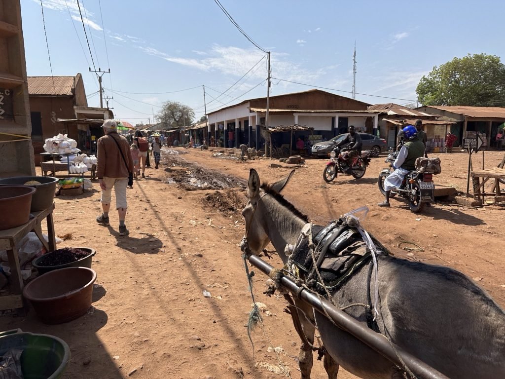 Kruispunt van straatjes met ezel op voorgrond, rode aarde