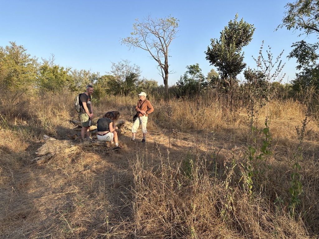 Heuvelachtig savanne-landschap met een viertal toeristen in Kunkilling