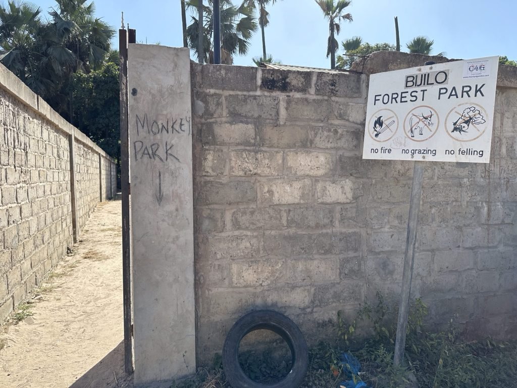 Ingang van Bijilo Forest Park: muur in betonsteen met infobord