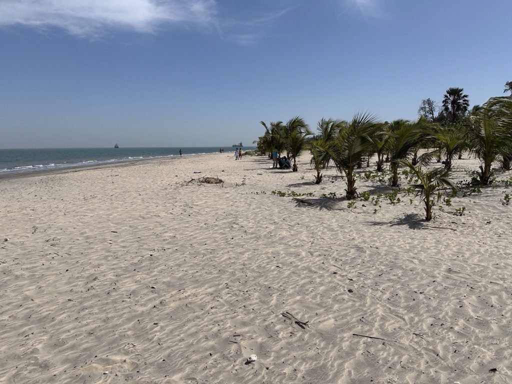 Zee met strand van Banjul en kokospalmen. 