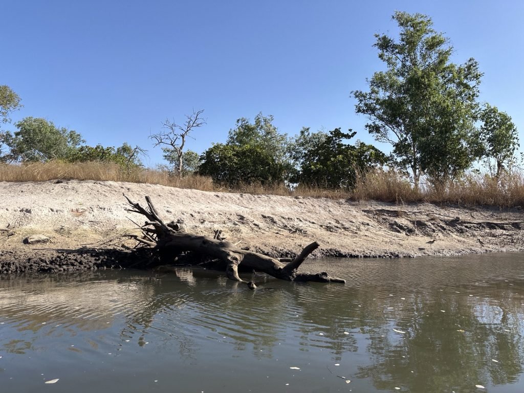 Rivier-strandje met bomen in Makasutu