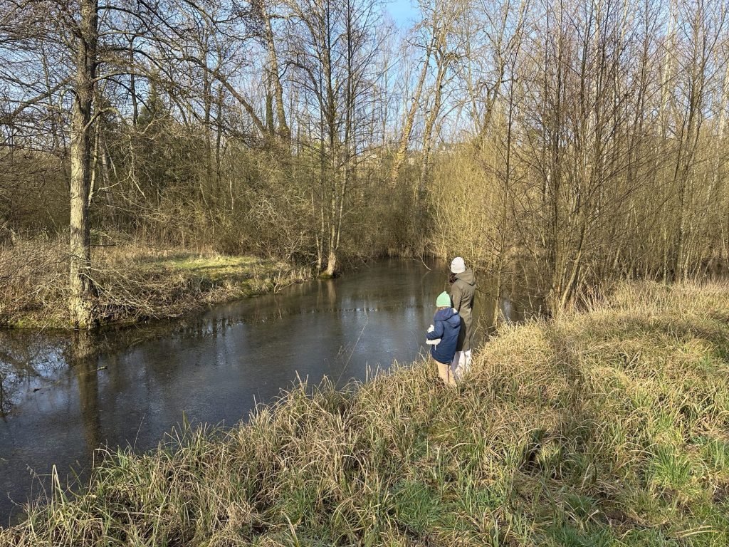 Vijvertje in bladerloos berkenbos