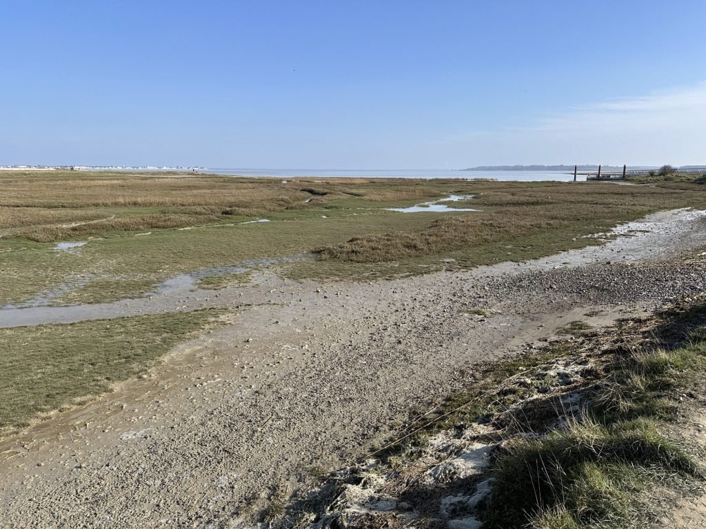 Droofliggende schorren in Le Hourdel