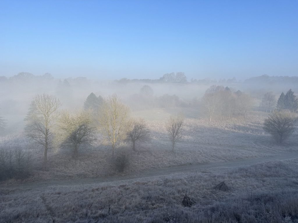 Mistige vallei in de lente