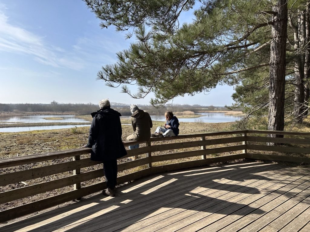 Houten afsluiting aan centraal uitkijkpunt over water en groen