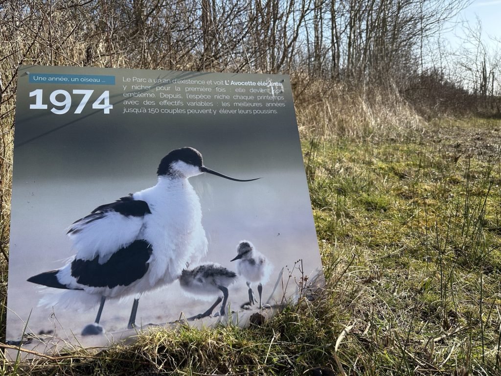 Ftot-bord van een elegante kluut, mascotte van Marquenterre