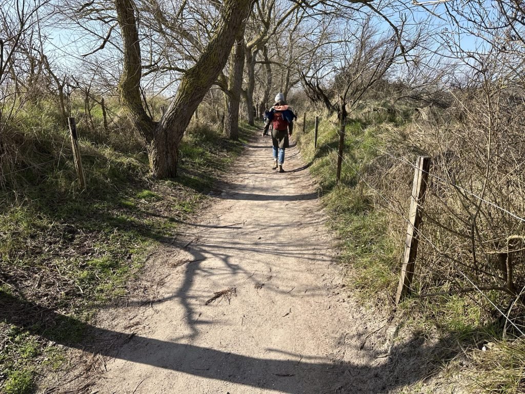 Zand-wandelwegje met grillige bomen aan de kant