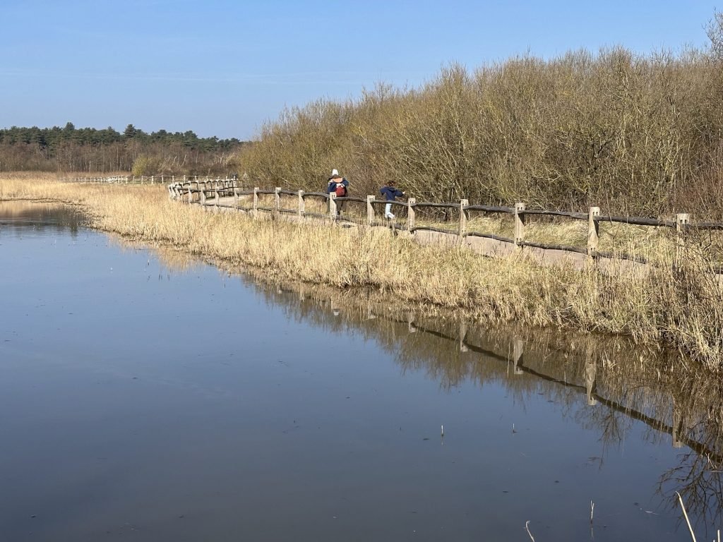 Water met aan de zijkant wandelpad met eenzame wandelaar