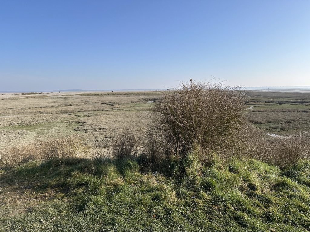 Baai van de Somme bij eb met schorren en slikken
