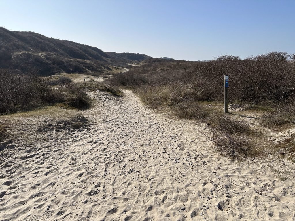 Duinen met wandelpaadje