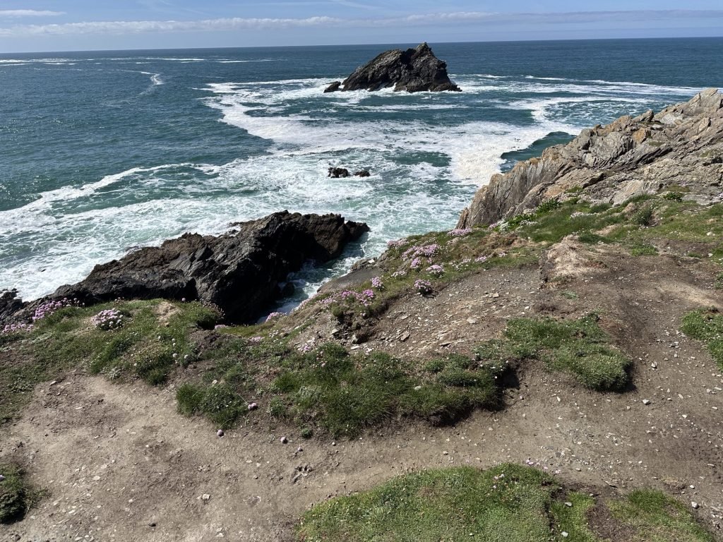 De oceaan vanaf Pentire Head met Goose Rock