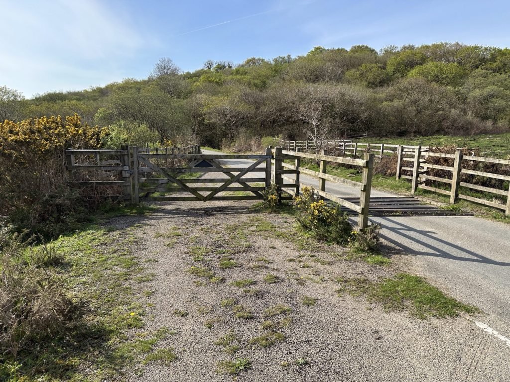 Cornwall landschap met vee-rooster