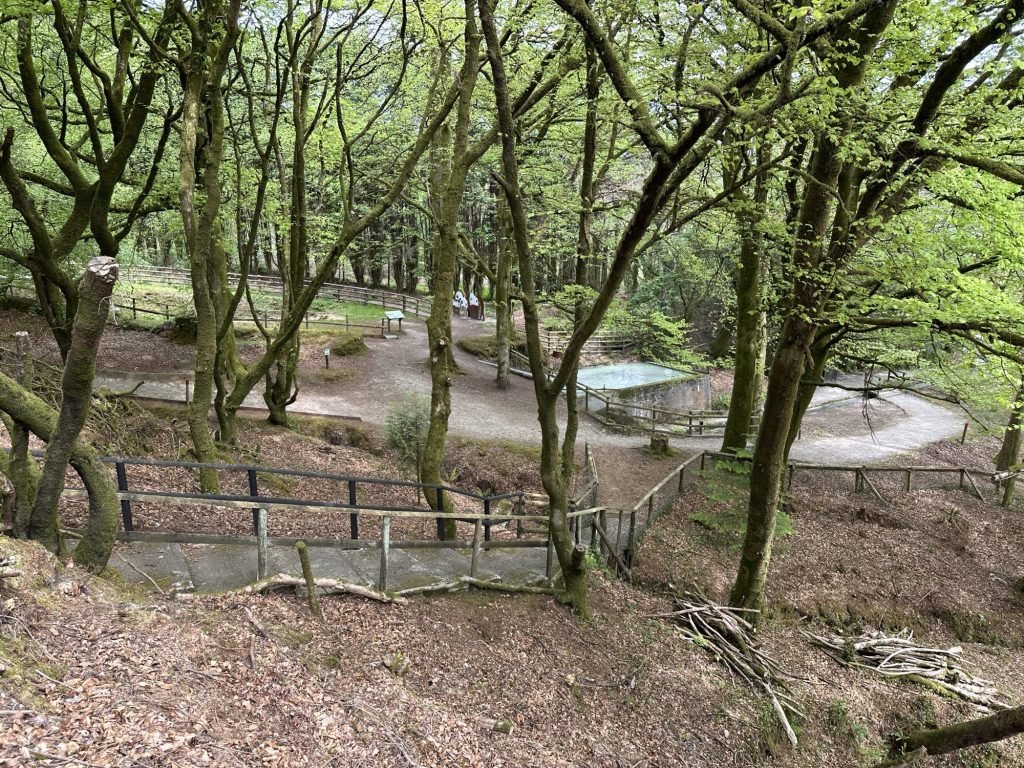 Natuurwandeling in Wheal Martyn, Cornwall
