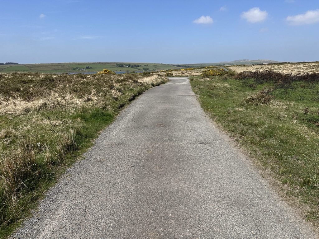 Bodmin Moor met verbrande gaspeldoorn