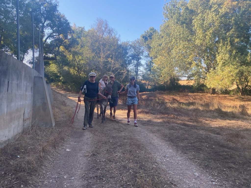 Toeristen met kindje op ezel in Castelo do Burro