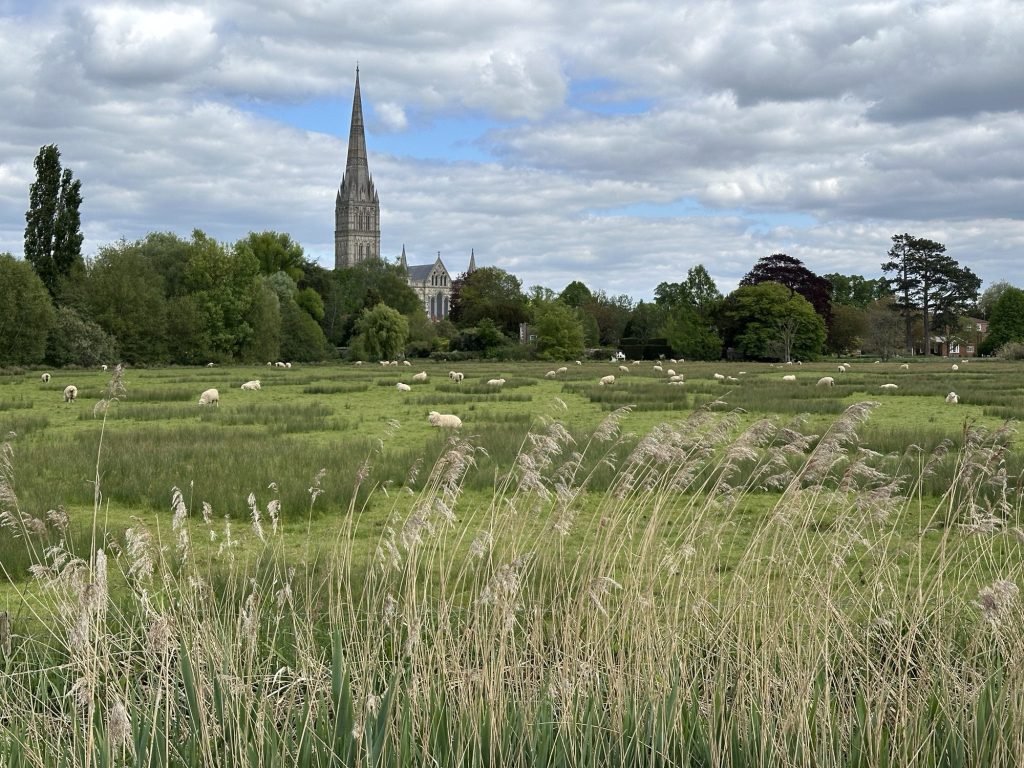 Salisbury, U.K.: zicht op de kathedraal vanaf de “Watermeadows”