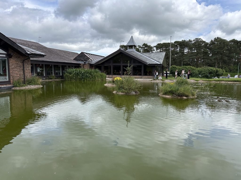 Meertje, weerspiegelende lucht, restaurant. 