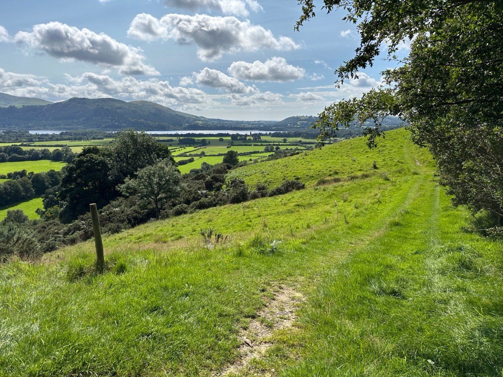 Wandelweg over weide met panorama en wolken. 