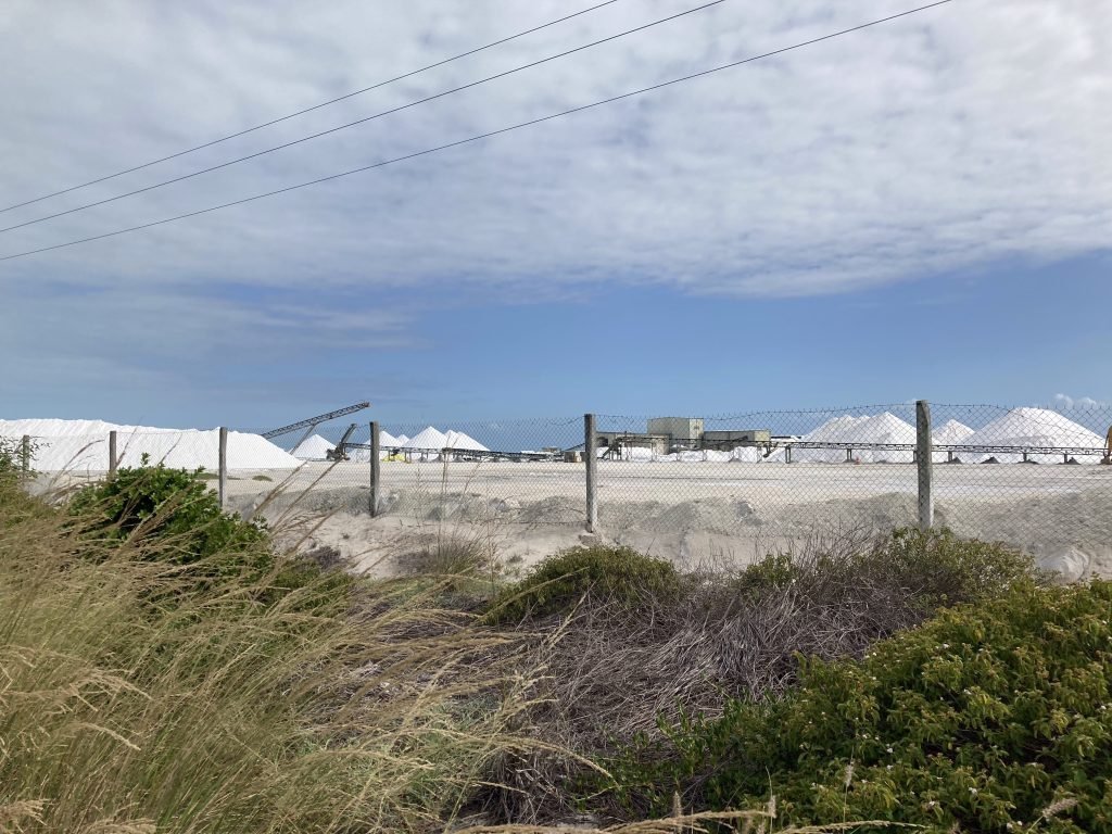 Witte zoutbergen van Las Coloradas met op de voorgrond groen. 