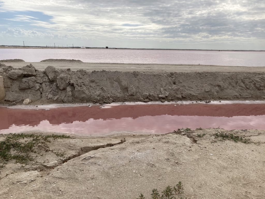 Bruin, rood en roze kleuren in een sloot langs Las Coloradas. 