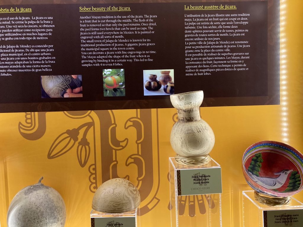 Museum-display van Jicara-drinkbekerss. 