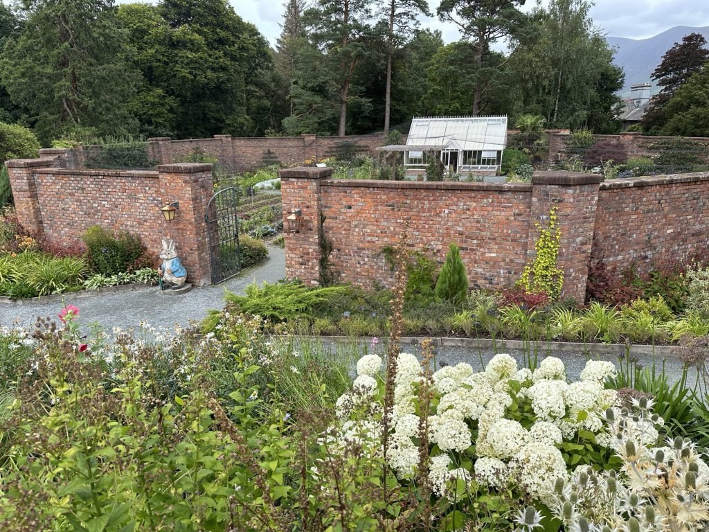 Witte bloemen op voorgrond met tuin op achtergrond. 