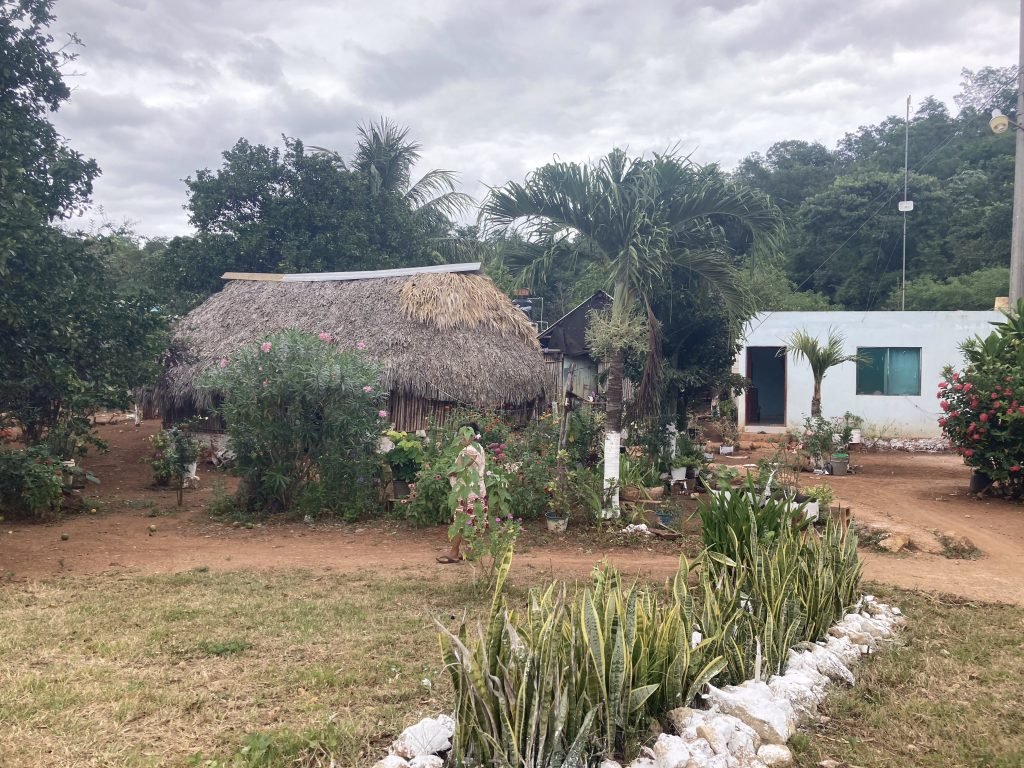 Tuintje voor ovalen huis met rieten dank; wit huis rechts. 
