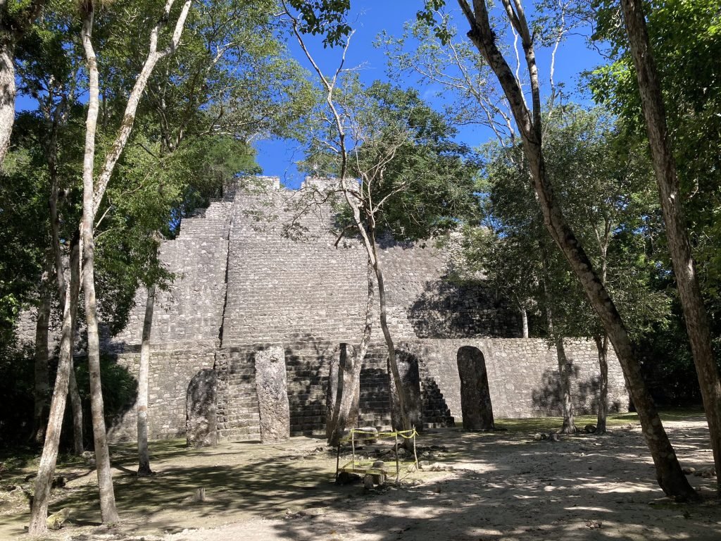 Halfhoge Maya-tempel tussen bomen in Calakmul