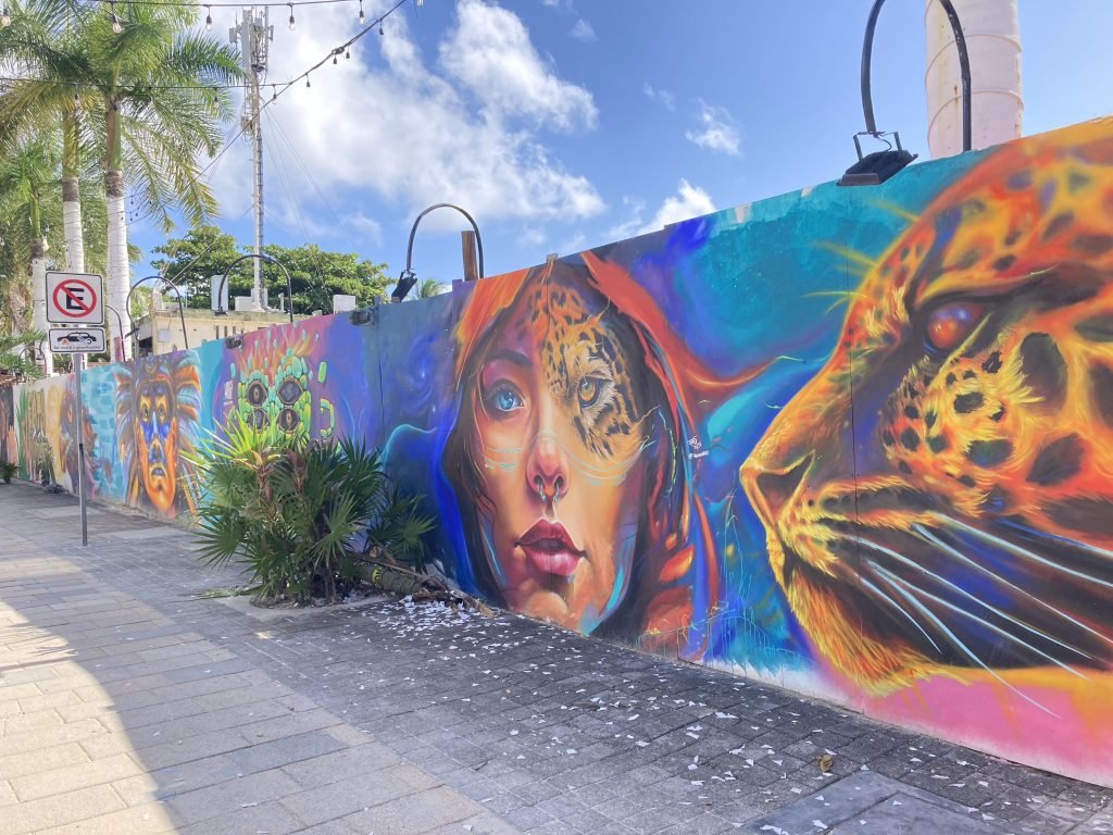 Grafitti muur met veelkleurige gezichten in Playa del Carmen