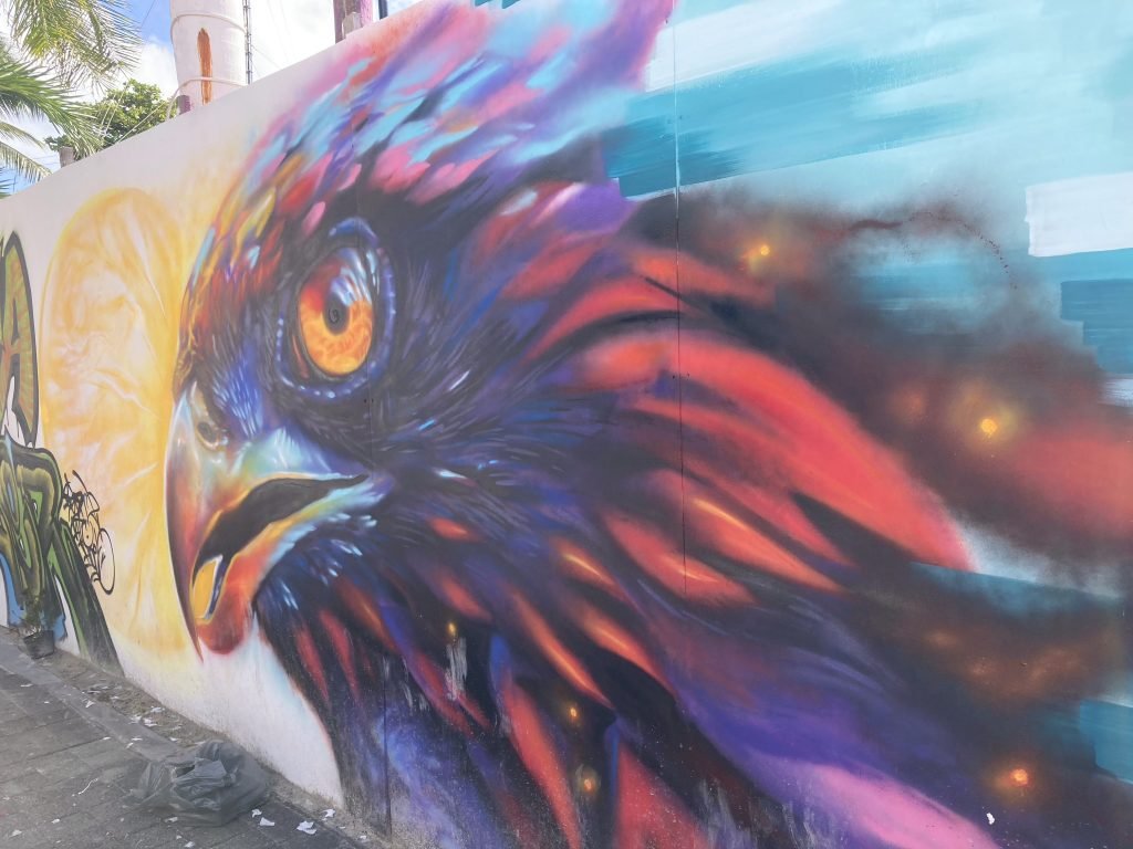 Kleurrijke grafitti van roofvogel in Playa del Carmen, Maya Riviera